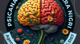 Hecionara Silva Hayster Nigri