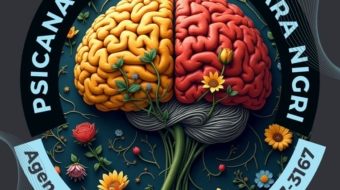 Hecionara Silva Hayster Nigri